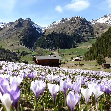 Apartamento Refugium Dolomiten & Sillian