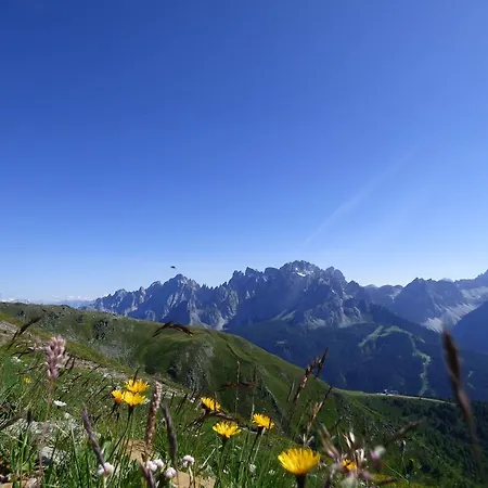 Refugium Dolomiten &
