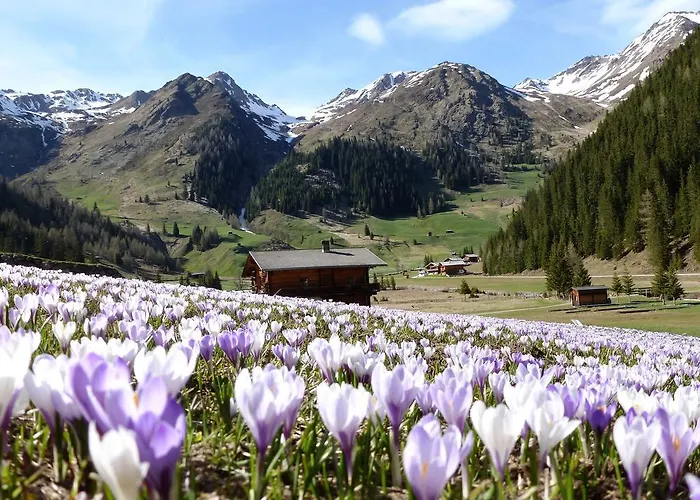 Lejlighed Refugium Dolomiten & Sillian